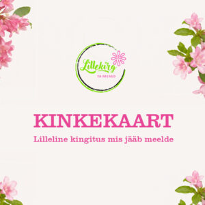 Lillekirg Taimed kinkekaardi kujundus heledal taustal roosade õite ja lillemotiividega nurkades, keskel Lillekirg logo ning tekst “Kinkekaart – Lilleline kingitus mis jääb meelde”.
